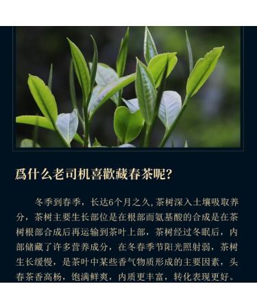Pu-erh tea 2021 Yiwu luoshui dong 357g Raw - Buy Online on GoSupps.com