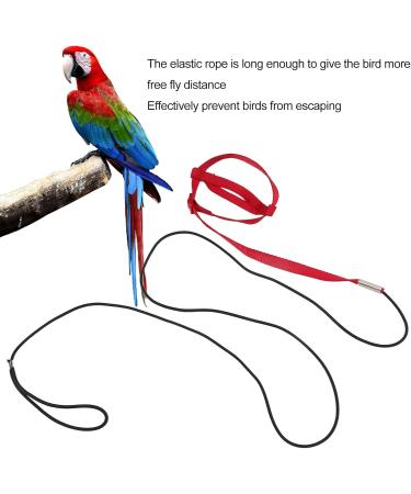 Buy Cyrank Bird Dishes & Adjustable Pet Leash for Outdoor Training | Perfect for Nymphensittich & Alexandriner Birds - Fast International Shipping - Buy Online on GoSupps.com