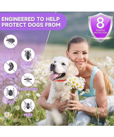 Yufana Adjustable Flea Neck Band for Dogs & Cats - 2-Pack for All Sizes 62 cm - Effective Flea Control for Small Medium & Large Pets - Buy Online on GoSupps.com
