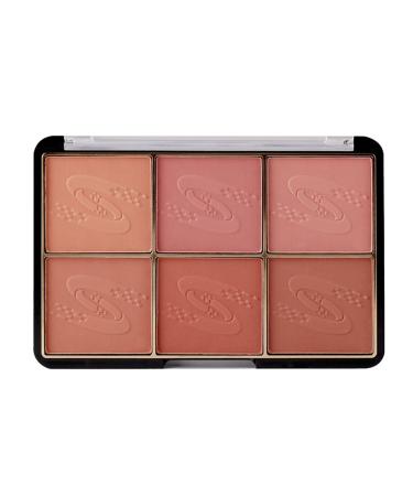 6 Colors Face Blush Palette Highlight Blush Palette Natural and Long Lasting Delicate Contour Palette Professional Facial Makeup Blusher(7004-020N2)