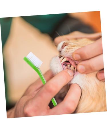 DOITOOL 20 pcs Dual-head Cleaning Oral Pet Teeth Clean Cat Dog for Nylon Small Puppy Pets Handheld Tooth 1 count (Pack of 1) Assorted Colorx2pcs - Buy Online on GoSupps.com