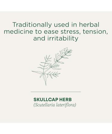 Traditional Medicinals - Organic Stress Soother Herbal Tea (Pack of 1) - Ease Stress Tension and Irritability - 16 Tea Bags Total Stress Soother 16 Count (Pack of 1) - Buy Online on GoSupps.com