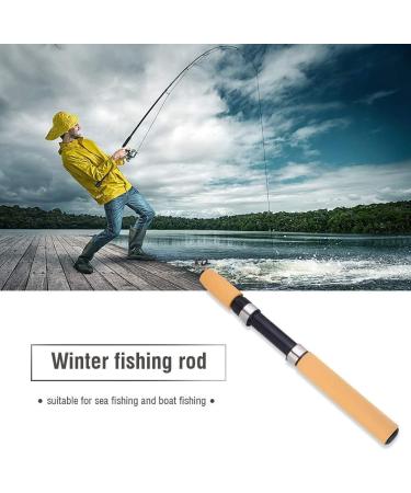 Buy DEWIN Mini Fishing Rod - Carbon Fiber Retractable Pocket Fishing Rod (2m) for Travel | Best Tackle for Anglers Worldwide - Buy Online on GoSupps.com