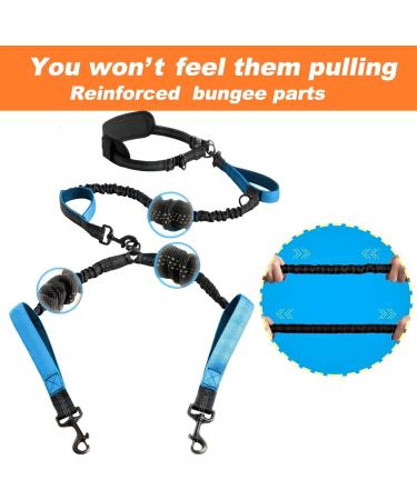 KAYTOW Hands Free Double Dog Leash Dual Dog Leash for Medium and Large Dogs Dog Leash for 2 Dogs with Padded Handles Reflective Stitches No Pull Tangle Free (Blue for 2 Dogs) - Buy Online on GoSupps.com