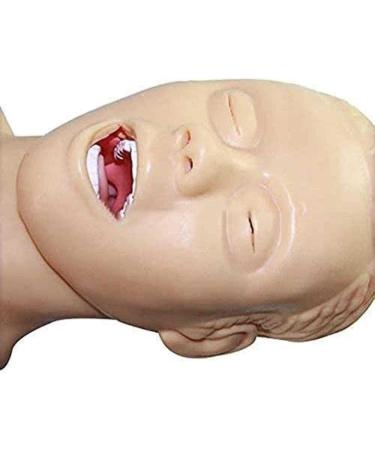Adult Intubation Manikin for Airway Management Training | Oral Nasal Intubation Teaching Model & Conversion Kit - Buy Online on GoSupps.com