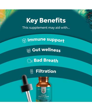Natural Chlorophyll Liquid Drops - Mint Flavored for Digestive Health & Immune Support | 2oz - Buy Online on GoSupps.com