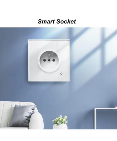 16A Smart Socket - Wall Timing Panel 1 Way Smart Outlet with Screw & User Manual for Home - Buy Internationally! - Buy Online on GoSupps.com