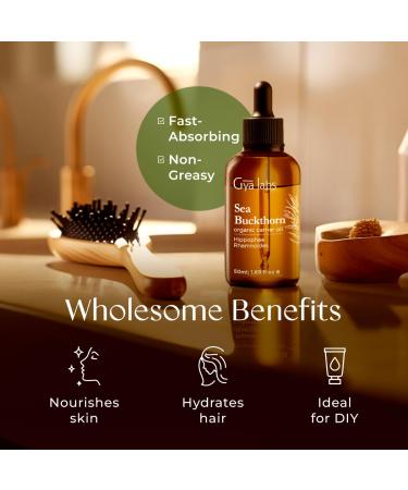 Gya Labs Organic Tamanu Oil for Skin (1 fl oz) & Sea Buckthorn Oil for Skin (1.69 fl oz) Set - Aromatherapy Grade Essential Oils Set - Buy Online on GoSupps.com