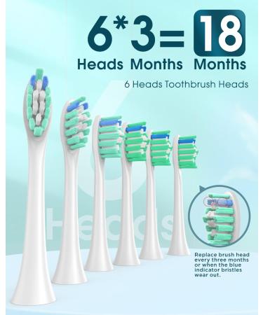 Sonic Electric Toothbrush for Adults - 6 Brush Heads, Holder, Travel Case, Type C Cable - Blue (1 Count) - Buy Online on GoSupps.com