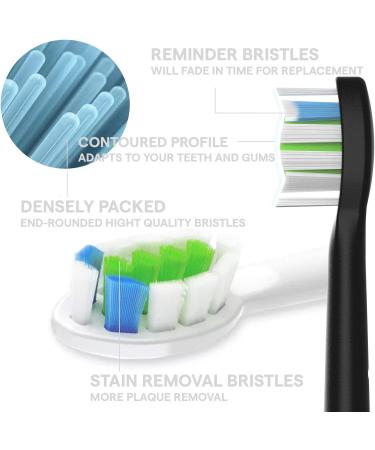 Mouth Armor Replacement Brush Heads - 2 Pack - Buy Online on GoSupps.com