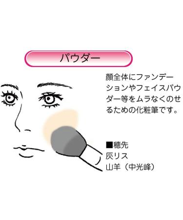 Japanese Akashiya Fude Powder Cheek Makeup Brush - Black | Made in Japan - Buy Online on GoSupps.com