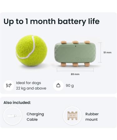 Tractive XL GPS Dog Tracker | 1 Month Battery Life | Global Real-Time Location | Escape Alerts | Health Monitoring - Buy Online on GoSupps.com