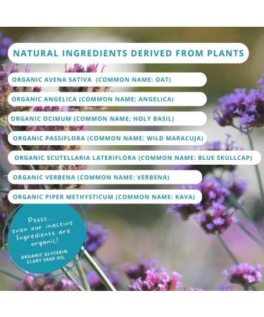 Forces of Nature Calm Mood for Kids - Organic Homeopathic Medicine for Stress Irritability & Mood Swings - Non-Drowsy Support 0.34 Fl Oz - Buy Online on GoSupps.com