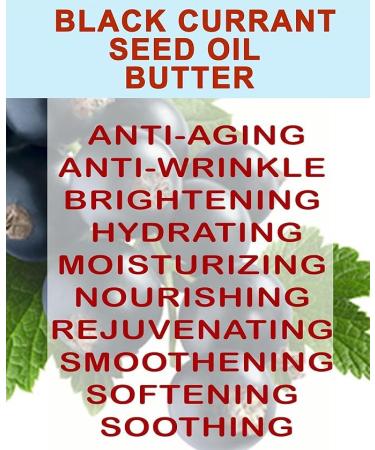 Botanical Beauty BLACK CURRANT SEED OIL BUTTER 100% Pure Natural VIRGIN UNREFINED Cold-Pressed for Face Skin Body Hair Lip Nails. Rich in Gamma-Linolenic Acid Vitamin E (4 Fl Oz) - Buy Online on GoSupps.com