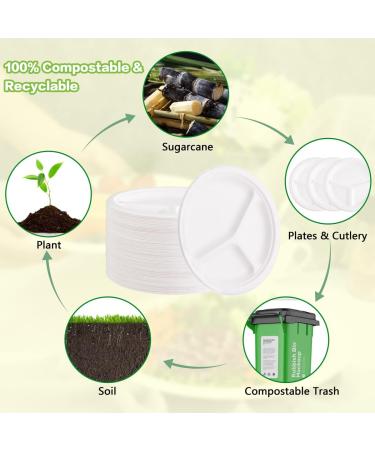 SUT 3 Compartment Plates Disposable 100-Pack - 9 Inch Heavy-Duty White Paper Plates | Biodegradable & Made of Natural Sugarcane Fibers - Buy Online on GoSupps.com