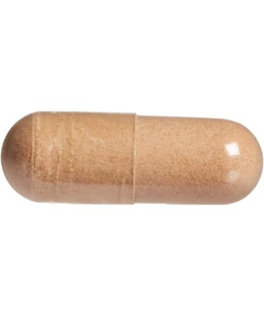 Natural Factors Horse Chestnut with Grape Seed Extract 350 mg - 60 Capsules for Healthy Circulation - Buy Online on GoSupps.com