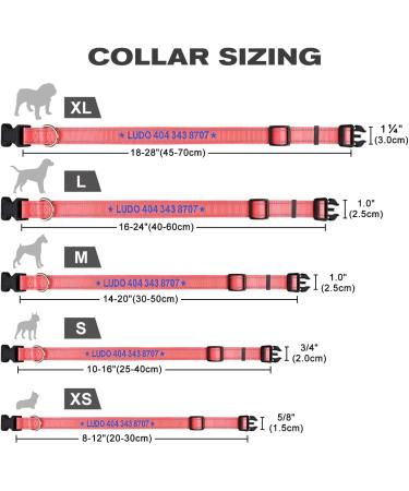 Buy Tagme Personalized Dog Collar for Large Dogs - Embroidered Reflective Nylon with PET Name & Phone Number | BabyRoSa XL (1 Pack) - Buy Online on GoSupps.com