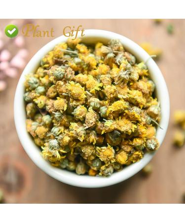 Buy Wild Chrysanthemum Tea - Authentic Chinese Tea 60g | Health Benefits | International Shipping - Buy Online on GoSupps.com