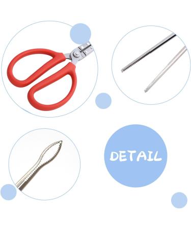 Keajuidy 2-Piece Feed Pliers for Reptiles - 38cm Extra Long Stainless Steel Tweezers for Snakes Lizards Frogs & Spiders | Essential Tank Accessories - Buy Online on GoSupps.com