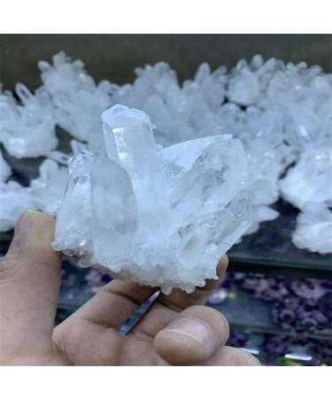 Specimen 1pcs Natural Crystal Cluster Raw Quartz White ReikiStones Crystal Point Specimen Home Decoration Ra Crystals Stone Natural Stones (Size : 320-400g) - Buy Online on GoSupps.com