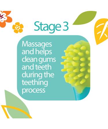 Dr. Talbot's 4-Stage Oral Care Set for Infants (0m+) - 4 Piece System - Buy Online on GoSupps.com