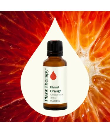 Plant Therapy Blood Orange Essential Oil 30 mL (1 oz) 100% Pure Undiluted Therapeutic Grade 1 Fl Oz (Pack of 1) - Buy Online on GoSupps.com