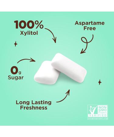 PUR GUM | Sugar-Free Chewing Gum with 100% Xylitol | Vegan Aspartame-Free Gluten-Free & Diabetic-Friendly | Natural Chocolate Mint Flavor | 55 Pieces Per Pack - Buy Online on GoSupps.com