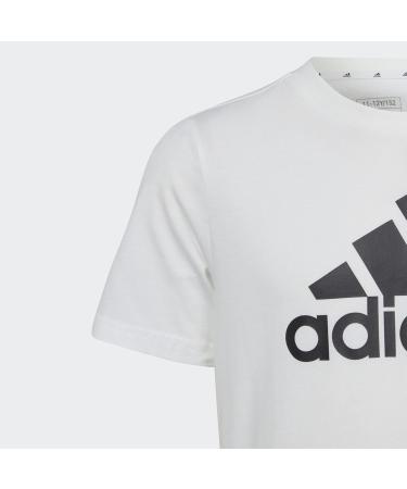 Buy adidas Unisex Kids Essentials Big Logo Cotton T-Shirt - Short Sleeve (1 Pack) in White/Black | International Shipping Available - Buy Online on GoSupps.com