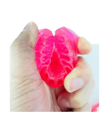 Dental Tooth Extraction Model Full Mouth Detachable 28pcs Tooth Simulation Facial Skin Model For Dentist Teaching Study (Teeth Model) - Buy Online on GoSupps.com