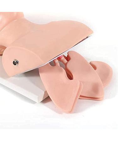 AYGJKIE Advanced Intubation Head Trainer | Study Model for Airway Management Simulator - International Shipping Available - Buy Online on GoSupps.com