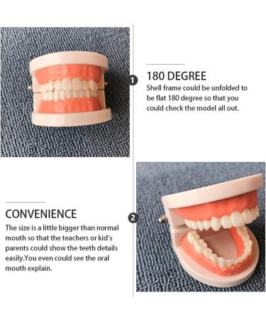 Buy Toyandona Educational Tooth Models for Kids | 3D Puzzles & Toy Sets for Brushing Teeth | Enhance Learning with Kidcraft Games - Buy Online on GoSupps.com
