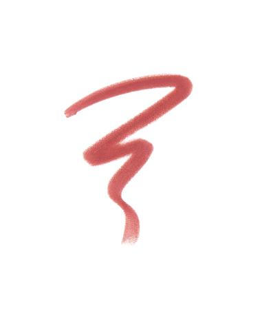 Buy Anastasia Beverly Hills Lip Liner Dusty Rose - Top Quality Fast International Shipping - Buy Online on GoSupps.com