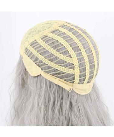 Topcosplay Wig and Beard Men's Long Grey Wig Cosplay Wizard Sorcerer Prophet Wig for Carnival Halloween Costume - Buy Online on GoSupps.com