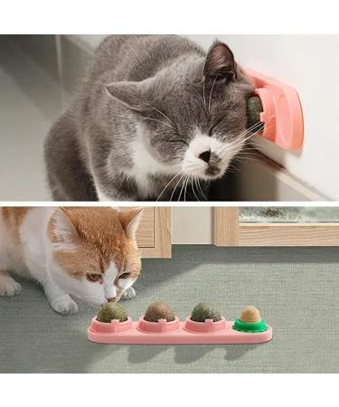Buy Starroad-Tim Catmint Wallball for Cats | Natural Teeth Cleaning & Eating Toy - International Shipping Available - Buy Online on GoSupps.com