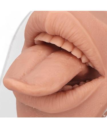 Soft Silicone Tongue Model - Realistic Fake Tongue for Piercing Practice & Jewelry Display - Flexible Human Mouth Shape with Teeth - Buy Online on GoSupps.com