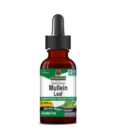 Nature's Answer Mullein Leaf Extract (K nigskerze-Extract) 2 000 mg 30ml alcohol-free laboratory testing gluten-free soybreis vegetarian