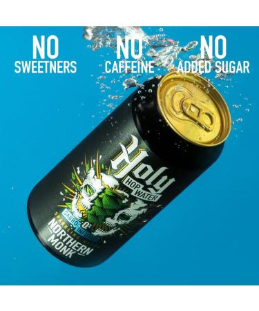 Northern Monk Brew Sabro Sparkling Water Multipack Hop Infused Fizzy Flavoured Carbonated Water No Sugar No Caffeine Non-Alcoholic 0% Less Than 10 Calories Vegan 24 x 440ml Cans - Buy Online on GoSupps.com