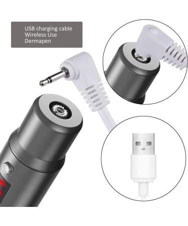 Derma Pen Hair Beard Growth INCELLICE Microneedling Pen 0.25-2.0mm Adjustable 5 Speeds Wireless Use Professional Electric Beauty Pen for Face Skin Care with 2 Replacement Cartridges and USB Charger Dermapen P40-Gery - Buy Online on GoSupps.com