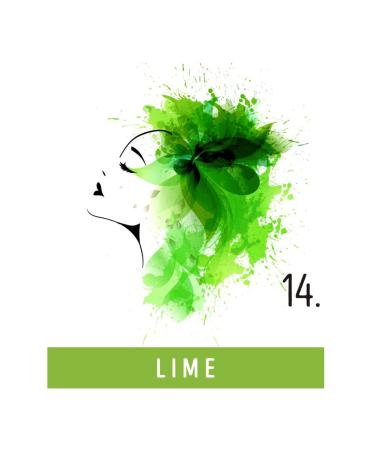 Funky Color Lime 14 - Semi-Permanent Hair Coloring | 28 Vibrant Shades for Bold Hair | International Shipping - Buy Online on GoSupps.com