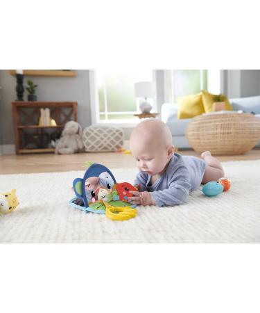 Discover Fisher-Price HFJ92 Gift Set - Sensory Activity Toys for Babies 3+ Months | Ideal Baby Gift Set - Buy Online on GoSupps.com