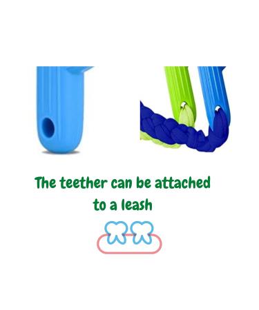 Children's Toothbrush & Cooling Teething Toy | Baby Silicone Cactus Bite Ring - Large Pink Teether for First Teeth - Buy Online on GoSupps.com