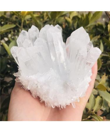 Home Decoration Natural Clear White Quartz Point Crystal Cluster Specimen Stones Home Goods (Size : 300-400g) - Buy Online on GoSupps.com