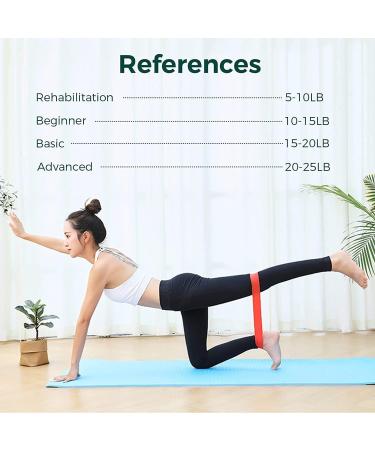 LOLROO Resistance Bands Skin-Friendly Resistance Fitness Exercise Loop Bands Non-Slip Elastic Loop Workout Bands for Home Gym Strength Pilates Yoga and Stretch - Travel Carrying Case Included Purple-pink - Buy Online on GoSupps.com