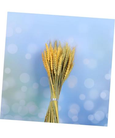 MAGICLULU 1 Decor Natural Wheat Rural Wheat Dried Wheat Simulation Wheat Dried Flowers Bouquet - Buy Online on GoSupps.com