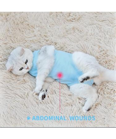 Easy Joy Recovery Suit for Cats - Postoperative Litter Clothing for Abdominal Wounds | E-Collar Alternative | Soft Indoor Pet Apparel (M Blue) - Buy Online on GoSupps.com
