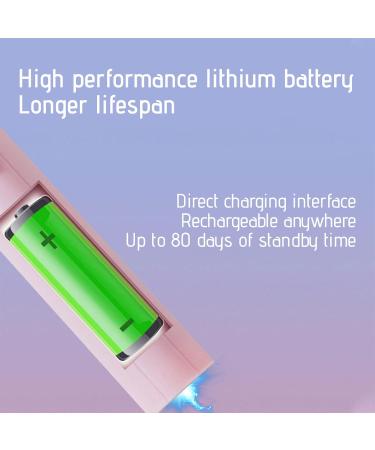 Electric Toothbrush for Adults with 4 Brush Heads and 6 Cleaning Modes Smart 20-Speed Timer Electric Toothbrush Ipx7 Rechargeable Power Toothbrush Longer Life Faster Charging Pink - Buy Online on GoSupps.com