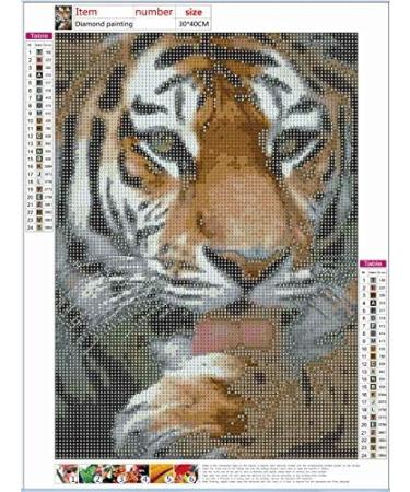 Eiflow Tiger 5D Diamond Painting Kit - DIY Craft Mosaic Gift (12x16in) - Buy Online on GoSupps.com