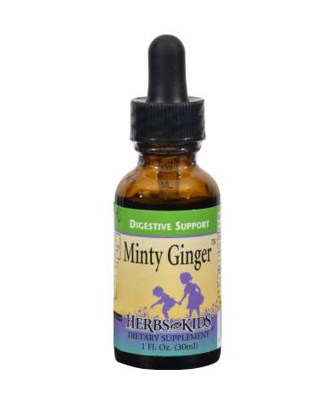 Herbs for Kids Minty Ginger - 1 fl oz