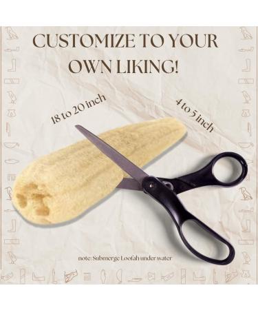 One Whole Egyptian Loofah 100% Natural SPA Beauty Bath Sponge Body Scrubber Puff. Premium Quality Lofa Loofa Luffa Loffa for exfoliating Your Skin. - Buy Online on GoSupps.com