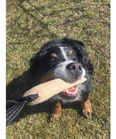 Dingo Gear Jute Bite Sausage Roll with Holder - 25x3 cm | IGP IPO Training Dog Toy for Obedience | S00156 - Buy Online on GoSupps.com